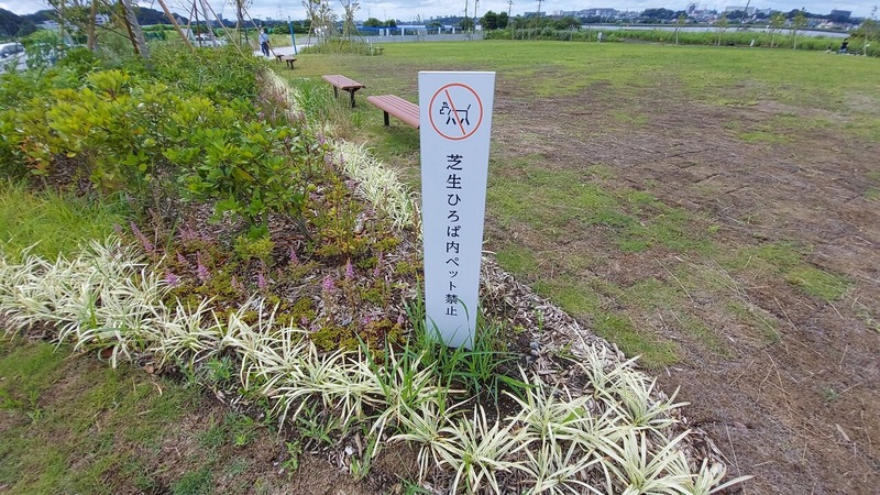 道の駅しょうなん