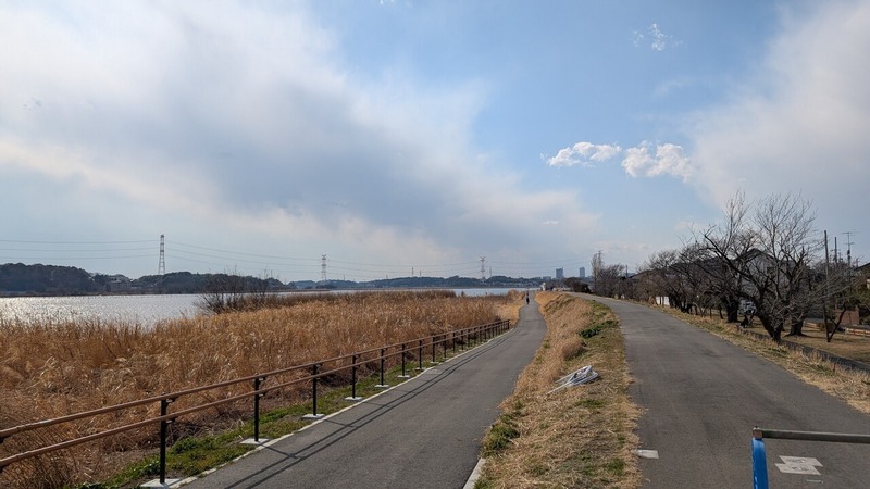 湖岸堤遊歩道