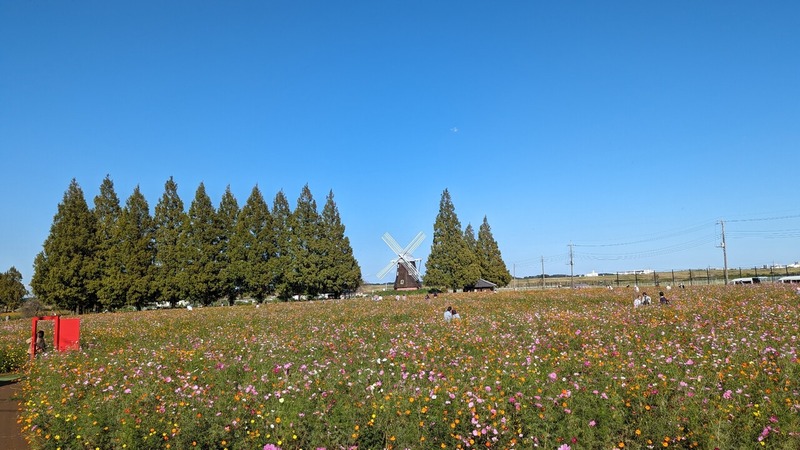 あけぼの山農業公園