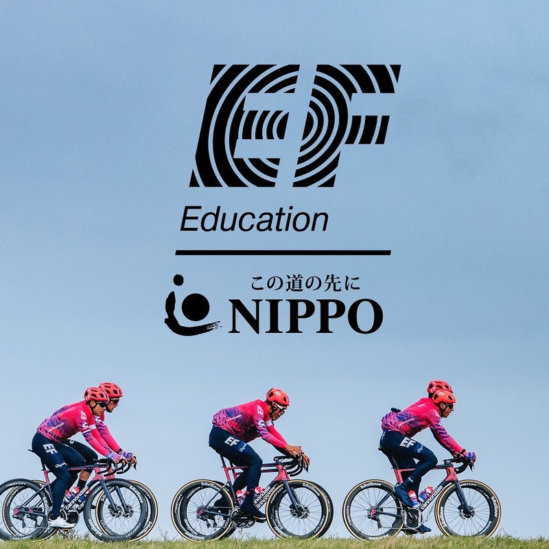 EF���ǥ奱�������NIPPO