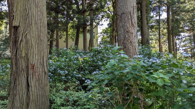 あけぼの山農業公園