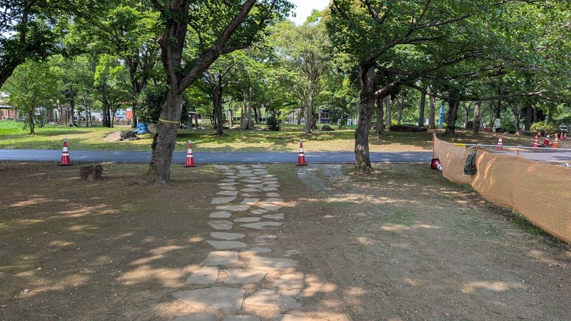 ����դ뤵�ȸ���
