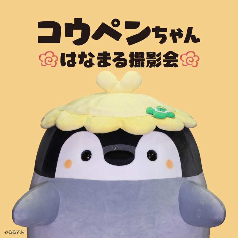 �����ڥ����� �Ϥʤޤ뻣�Ʋ�
