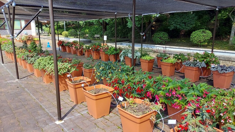 Trial Garden�ʥȥ饤���륬���ǥ��