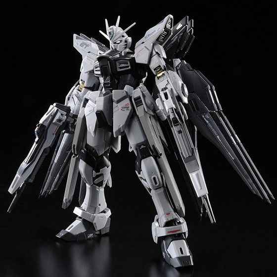 RG 1/144 ストライクフリーダムガンダム ディアクティブモード