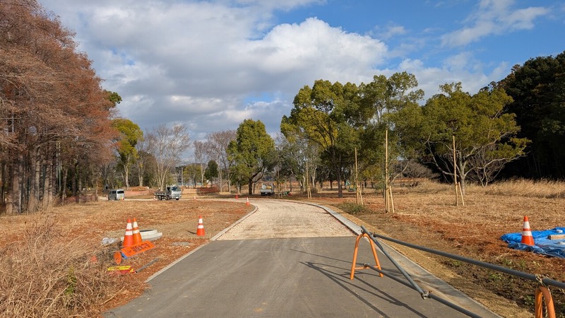 ή�������籿ư����