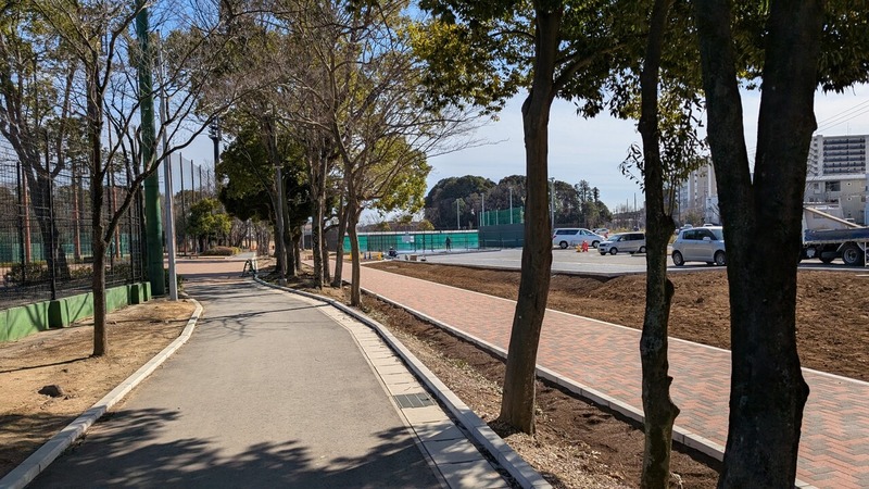 ή�������籿ư����