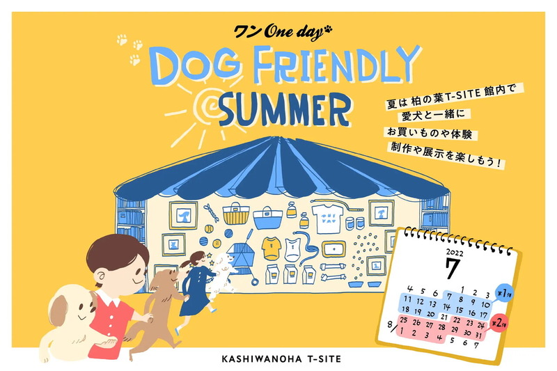 DOG FRIENDLY SUMMER