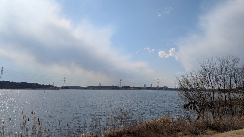 湖岸堤遊歩道
