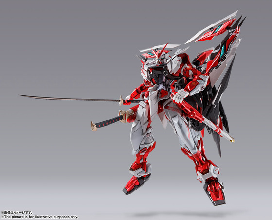 METAL BUILD ������ॢ���ȥ쥤 ��åɥե졼���