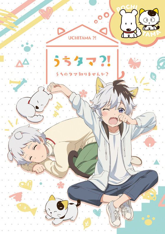うちタマ?! 〜うちのタマ知りませんか?〜