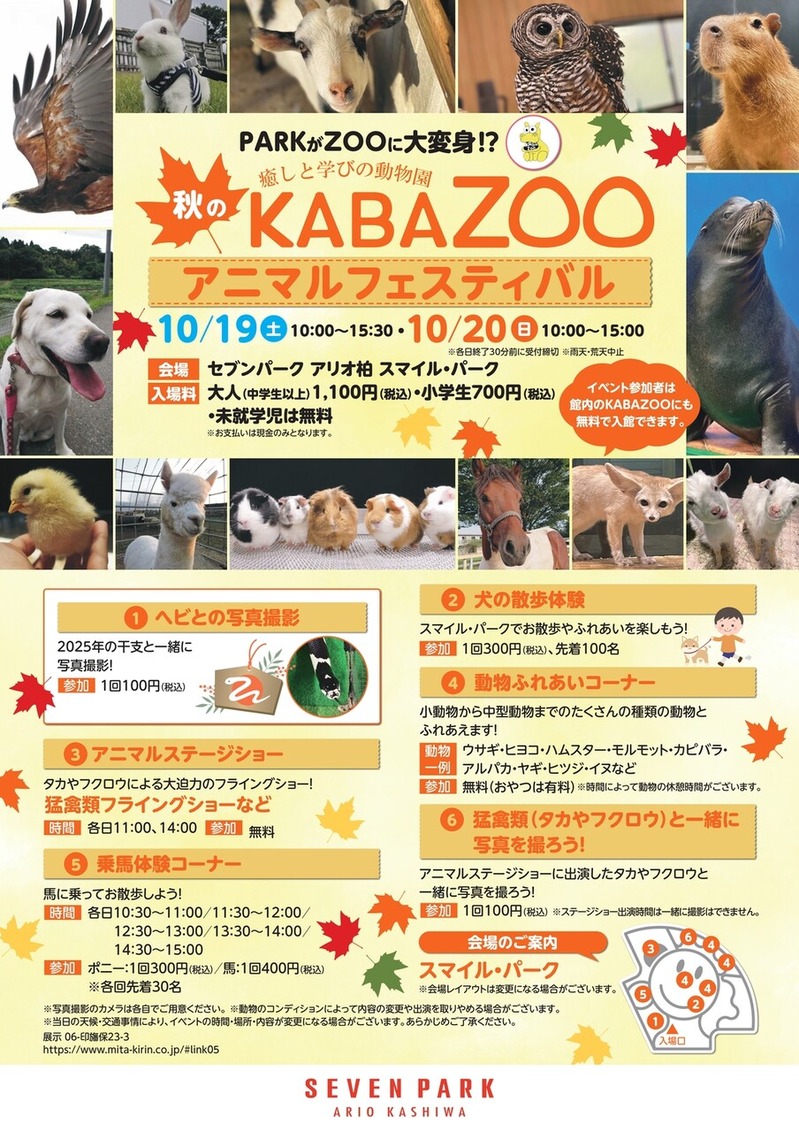 �����ȳؤӤ�ưʪ�� ����KABAZOO ���˥ޥ�ե����ƥ��Х�