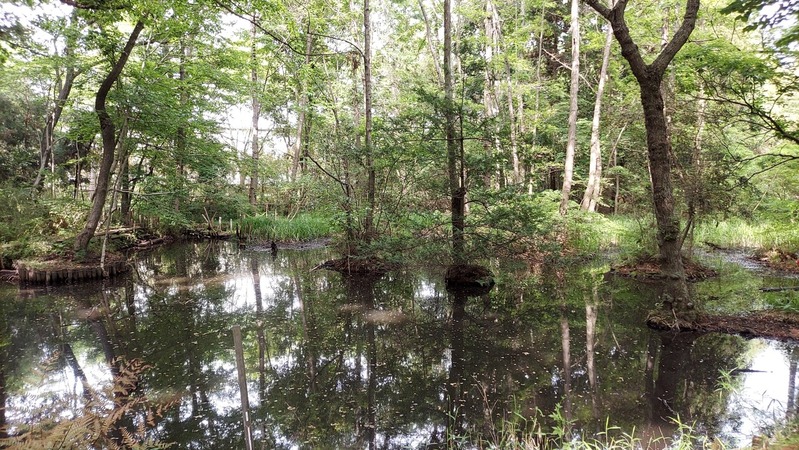 ����֤����Ӽ�����ʪ����