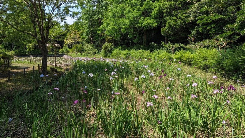 あけぼの山農業公園