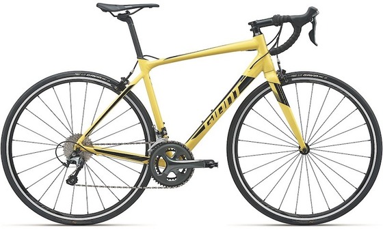 CONTEND SL 2