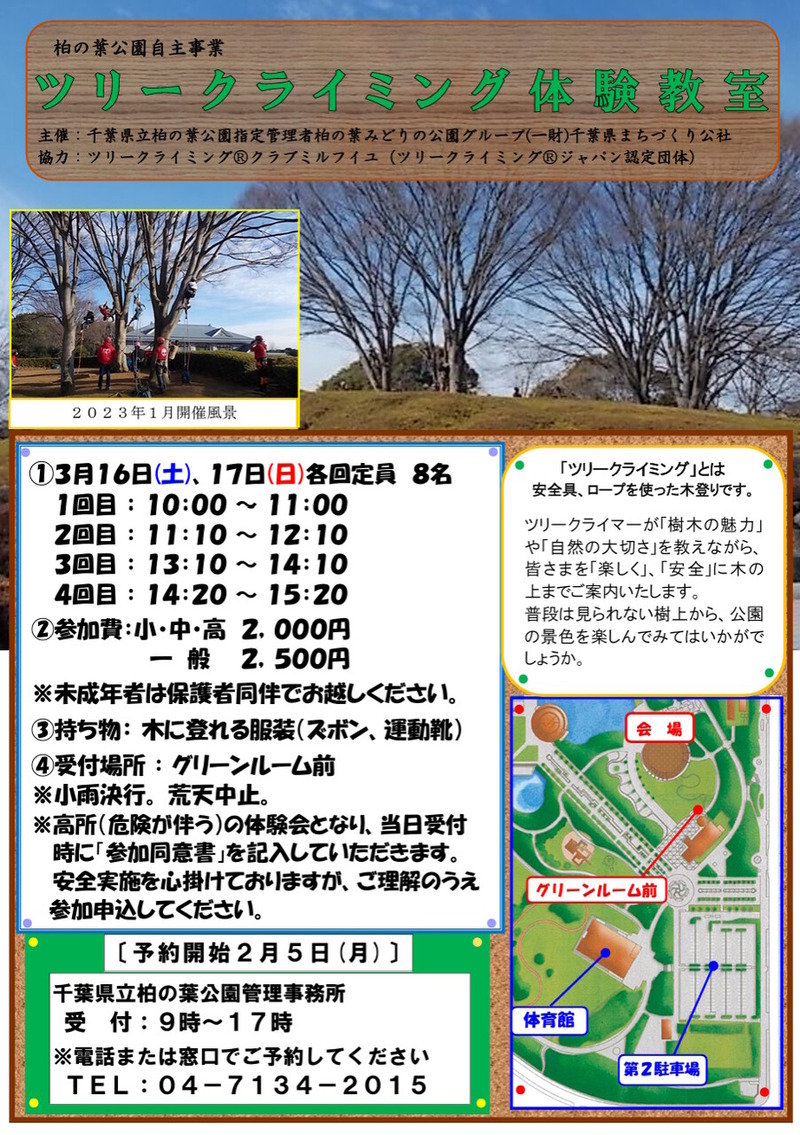 �ĥ꡼���饤�ߥ��θ�����