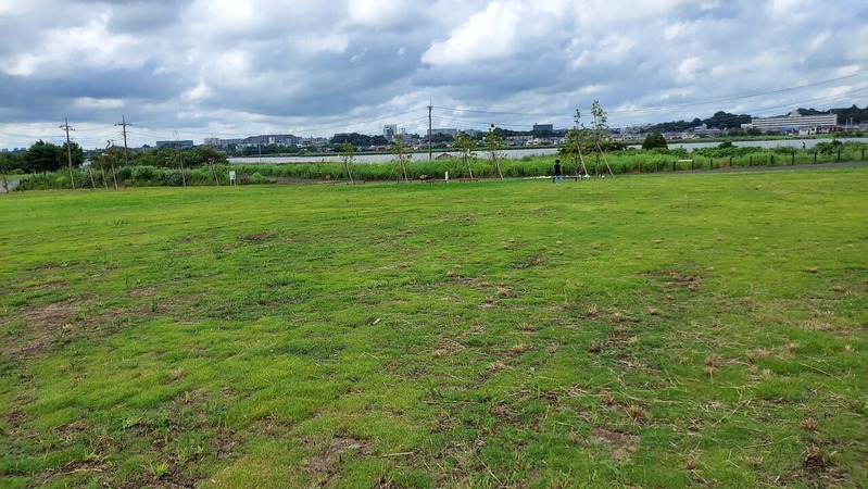 道の駅しょうなん