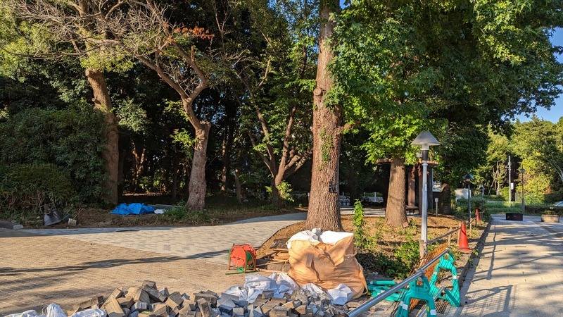ドトール パークカフェ 柏の葉公園店