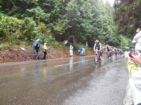 ジャパンカップサイクルロードレース2013