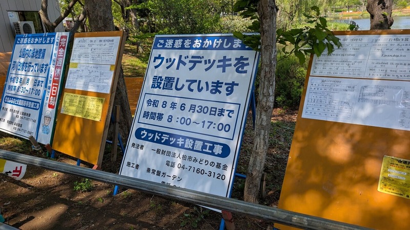 ����դ뤵�ȸ���
