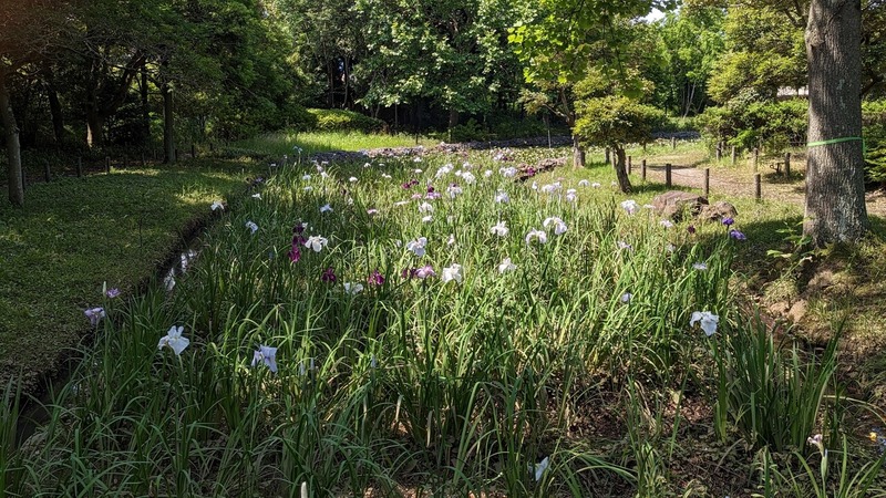 あけぼの山農業公園