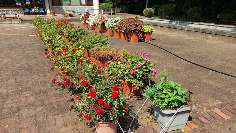 Trial Garden�ʥȥ饤���륬���ǥ��