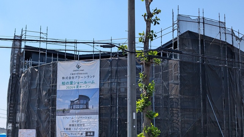���꡼����� ����ե��硼�롼��
