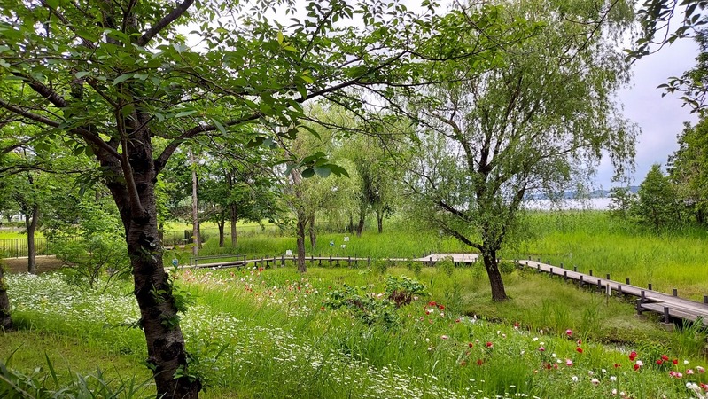 ����դ뤵�ȸ���