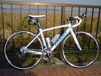 GIANT TCR 1
