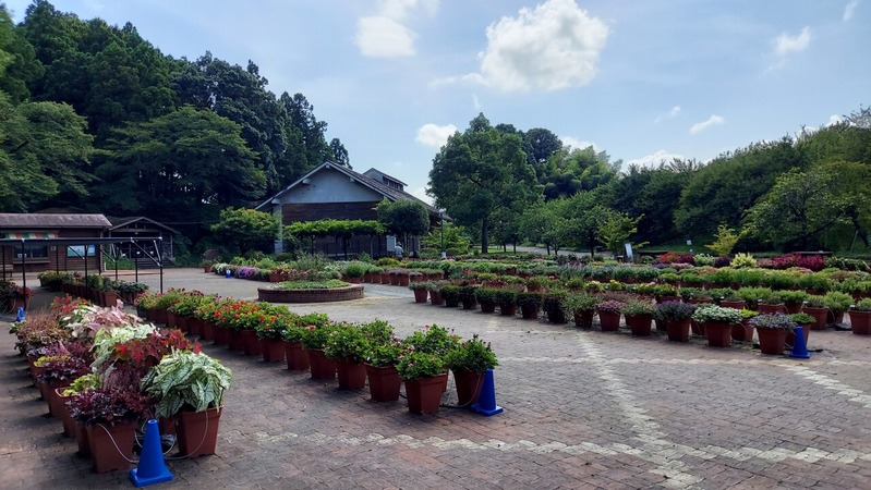 Trial Garden�ʥȥ饤���륬���ǥ��