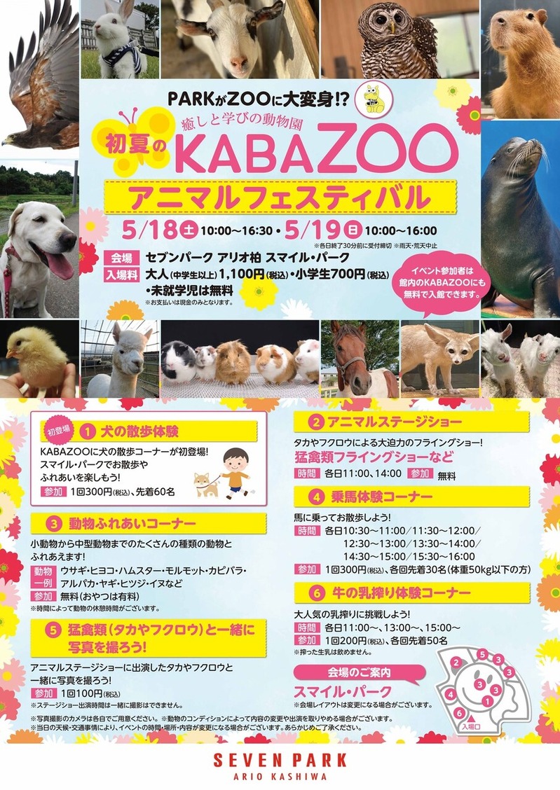 「セブンパークアリオ柏」で癒しと学びの動物園「初夏のKABAZOO アニマルフェスティバル」が5月18日・19日に開催