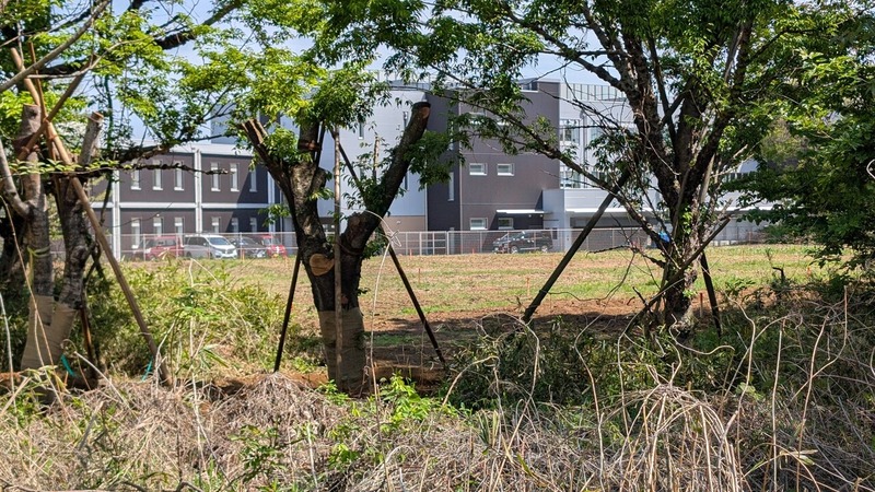 「柏の葉小学校」の西側「3号近隣公園」予定地のグラウンド整備工事状況（2026年4月19日）