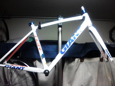 GIANT TCR1