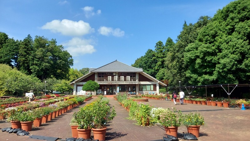 Trial Garden�ʥȥ饤���륬���ǥ��