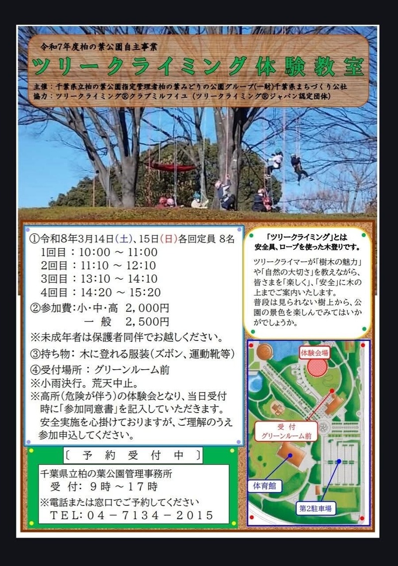 ツリークライミング