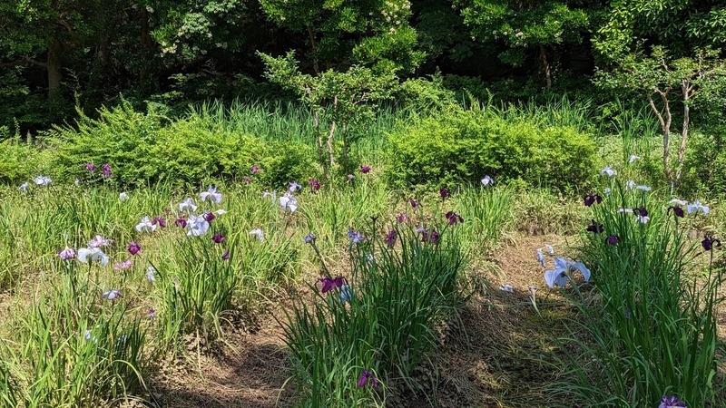 あけぼの山農業公園