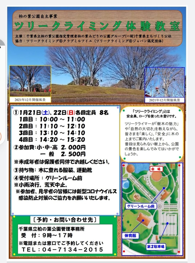 ツリークライミング体験会