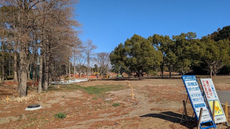 ή�������籿ư����