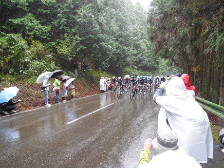 ジャパンカップサイクルロードレース2013