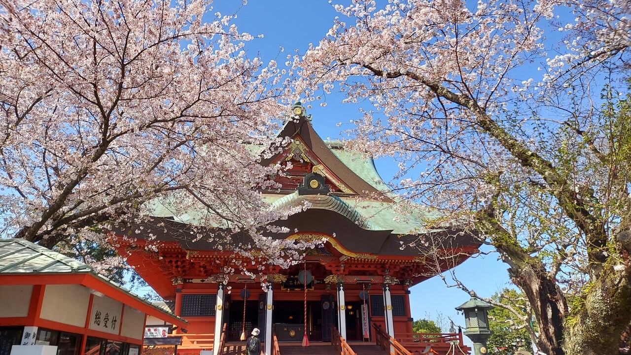 関東三大弁天「紅龍山 布施弁天 東海寺」の桜を撮影してきた : 柏の葉サイクルライフ