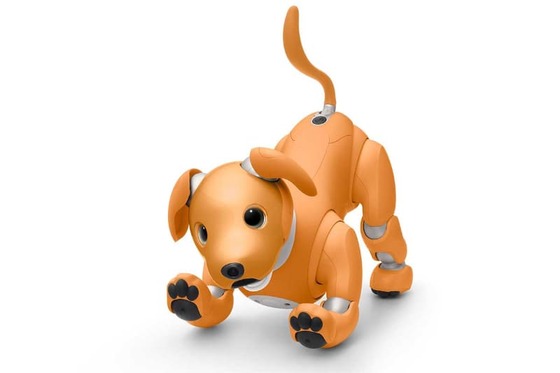 aibo ������� ���ǥ������