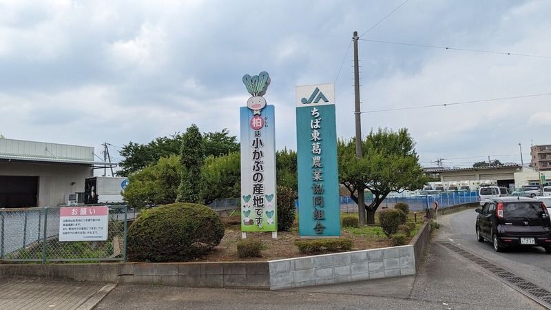 柏名産小かぶ直売会