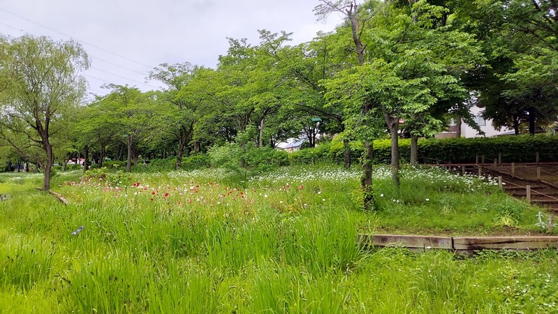 ����դ뤵�ȸ���