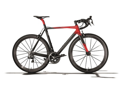 Audi sport Racing Bike