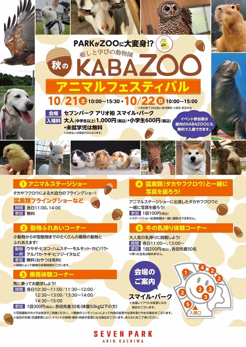 �����ȳؤӤ�ưʪ�� ����KABAZOO ���˥ޥ�ե����ƥ��Х�