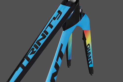 TRINITY ADVANCED PRO TT