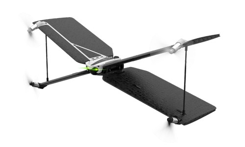 Parrot Swing