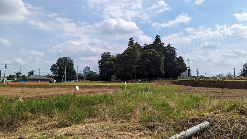 都市軸道路