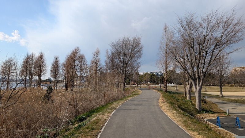 湖岸堤遊歩道