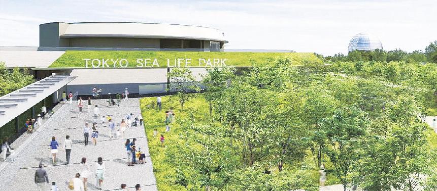 東京都がリニューアルする「葛西臨海水族園」の完成イメージを公開 : 柏の葉サイク …